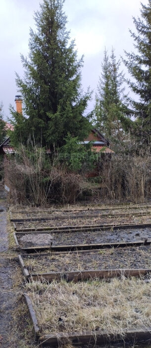 п. Большой Исток, СНТ Дорожник (городской округ Сысертский) - фото сада (5)
