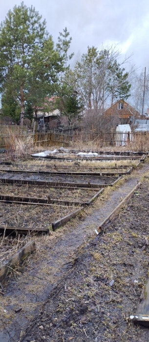 п. Большой Исток, СНТ Дорожник (городской округ Сысертский) - фото сада (7)