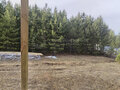 Продажа земельного участка: с. Колюткино, уч. 295 (городской округ Белоярский) - Фото 1