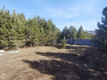 Продажа дома: с. Колюткино, д. 295 (городской округ Белоярский) - Фото 6