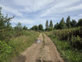 Продажа садового участка: г. Арамиль, СНТ