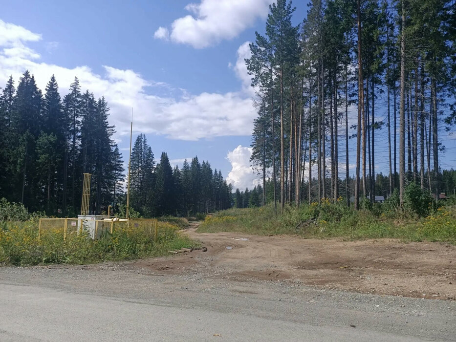 г. Ревда, ул. Ракитовая (городской округ Ревда) - фото земельного участка (3)