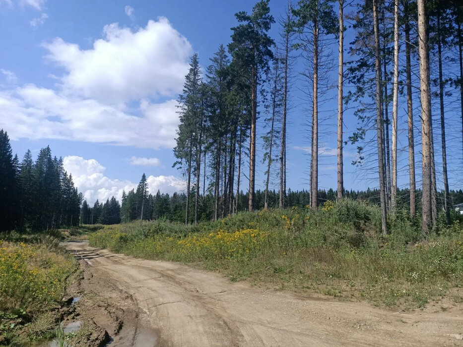 г. Ревда, ул. Ракитовая (городской округ Ревда) - фото земельного участка (4)