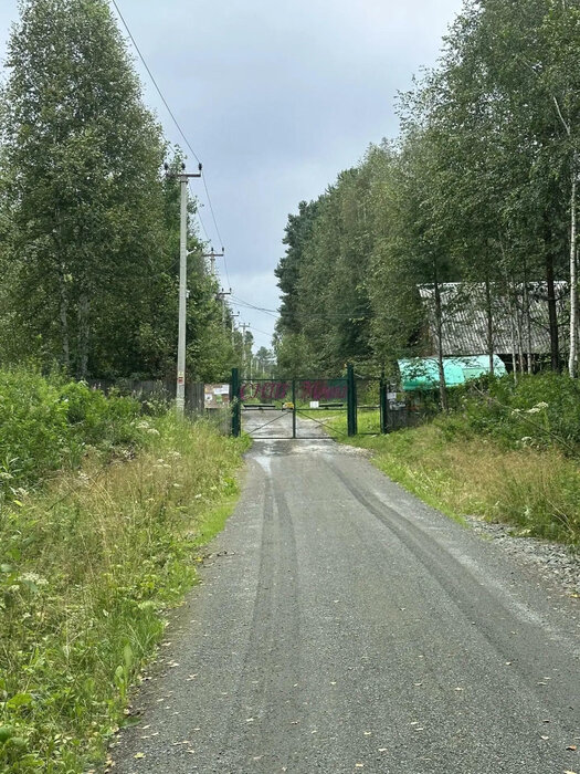 Екатеринбург, ул. СНТ Мечта - фото земельного участка (1)