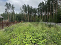 Продажа земельного участка: Екатеринбург, ул. СНТ Мечта - Фото 3