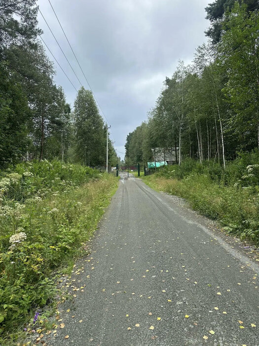 Екатеринбург, ул. СНТ Мечта - фото земельного участка (4)