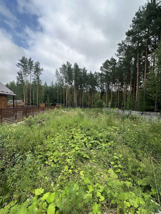 Екатеринбург, ул. СНТ Мечта - фото земельного участка (6)