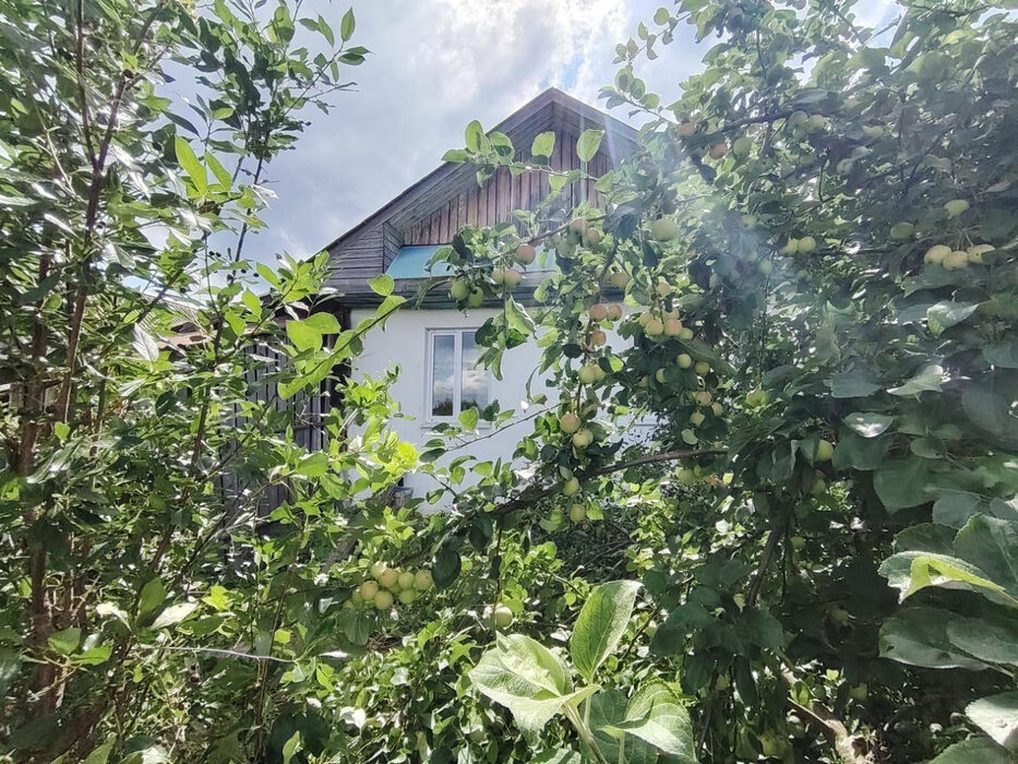 поселок городского типа Верхние Серги, ул. Пролетарская, 29 (городское поселение Верхнесергинское) - фото дома (7)