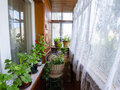 Продажа квартиры: г. Нижний Тагил, ул. Захарова, 5 (городской округ Нижний Тагил) - Фото 9