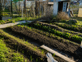Продажа садового участка: г. Среднеуральск, СНТ №7 СУГРЭС (городской округ Среднеуральск) - Фото 3