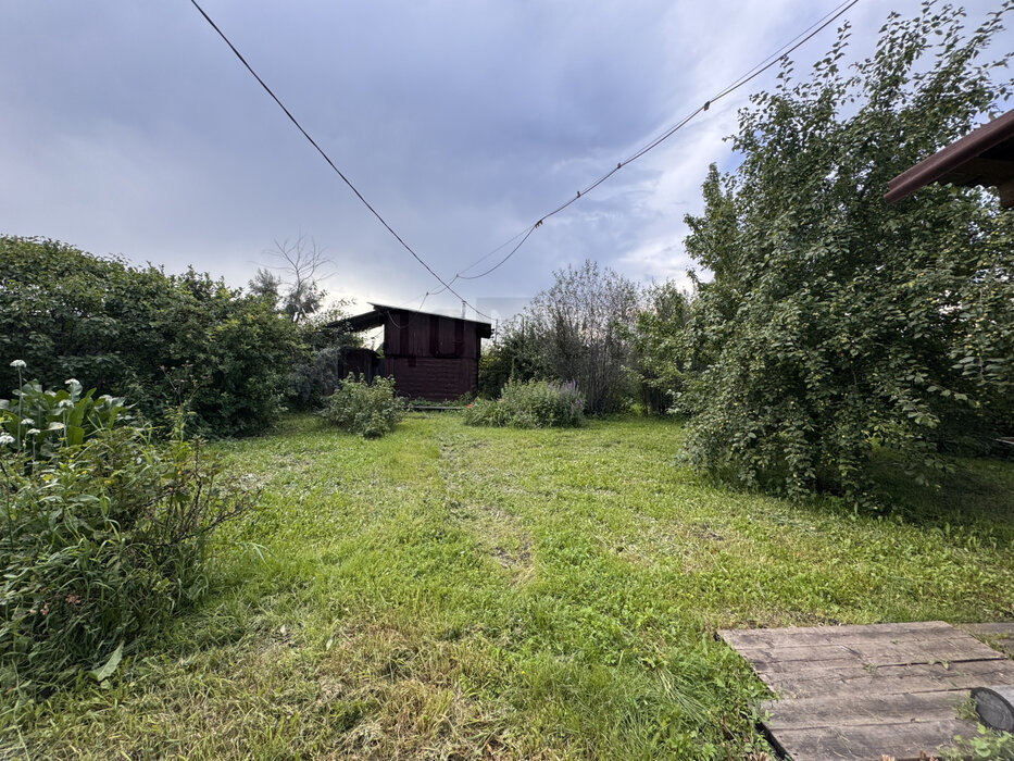 п. Большой Исток, СНТ Надежда -2 (городской округ Сысертский) - фото сада (5)