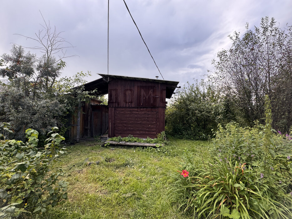 п. Большой Исток, СНТ Надежда -2 (городской округ Сысертский) - фото сада (6)
