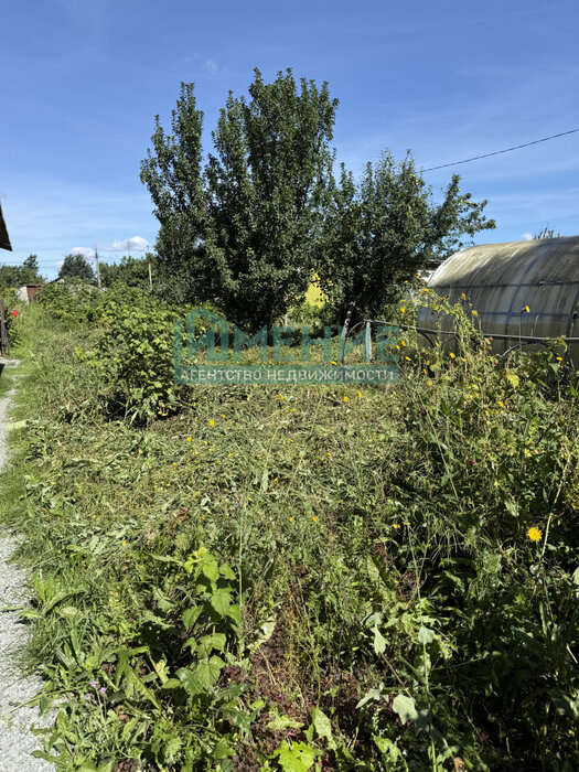 г. Ревда, коллективный сад № 1, уч. 93 (городской округ Ревда) - фото сада (2)
