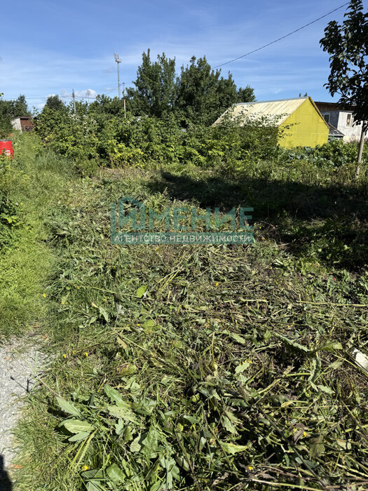 г. Ревда, коллективный сад № 1, уч. 93 (городской округ Ревда) - фото сада (3)