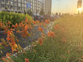 Продажа квартиры: Екатеринбург, ул. Вдохновения, 3 (Солнечный) - Фото 3