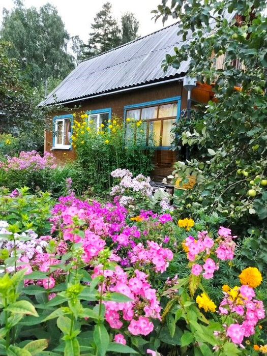 Екатеринбург, к/с Росинка - фото сада (16)