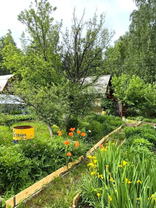 Екатеринбург, к/с Росинка - фото сада (2)