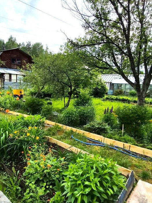 Екатеринбург, к/с Росинка - фото сада (4)