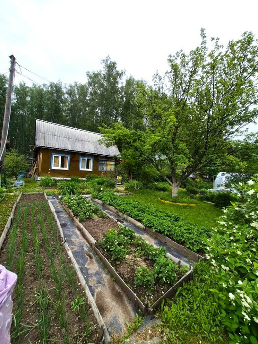 Екатеринбург, к/с Росинка - фото сада (7)