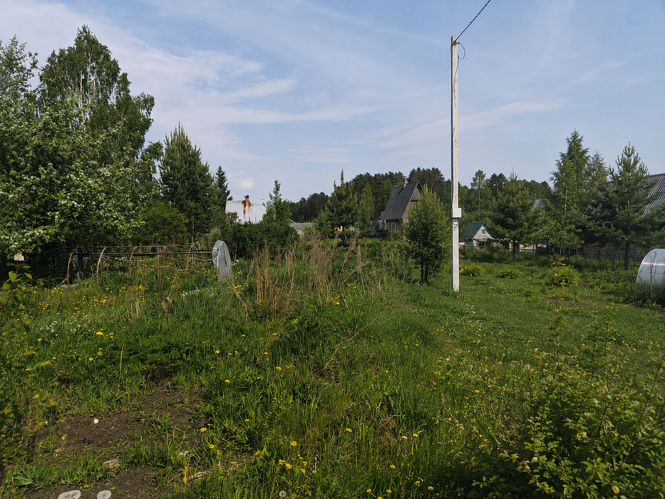 Екатеринбург, к/с Родничок - фото сада (6)