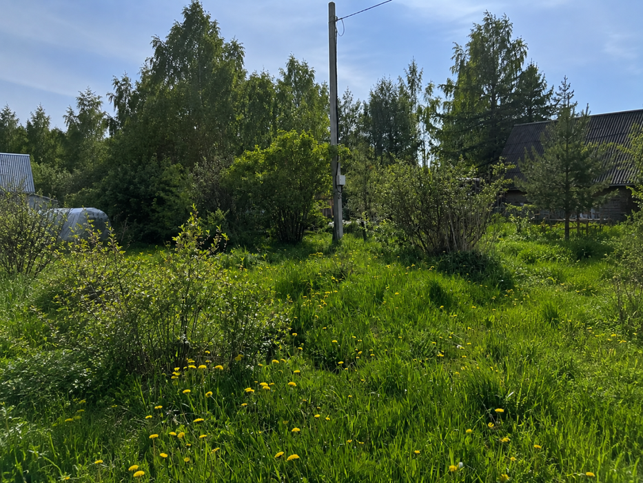 Екатеринбург, к/с Родничок - фото сада (7)