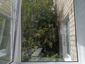 Продажа квартиры: Екатеринбург, ул. Санаторная, 11 (Вторчермет) - Фото 12