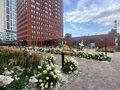 Аренда квартиры: Екатеринбург, ул. Монтерская, 8/2 (Вторчермет) - Фото 13