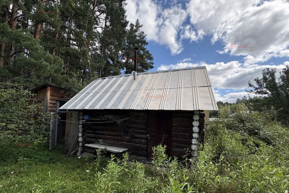 Екатеринбург, ДНТ Родник - фото сада (16)
