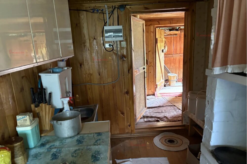 Екатеринбург, ДНТ Родник - фото сада (7)