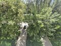 Продажа квартиры: Екатеринбург, ул. Блюхера, 57 (Пионерский) - Фото 12