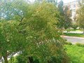Продажа квартиры: г. Ревда, городской округ Ревда, Пермское направление, 50км., ул.Чехова, 41 (Выберите район) - Фото 11