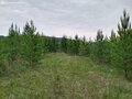 Продажа земельного участка: к.п. Зелёные Просторы (городской округ Екатеринбург) - Фото 2