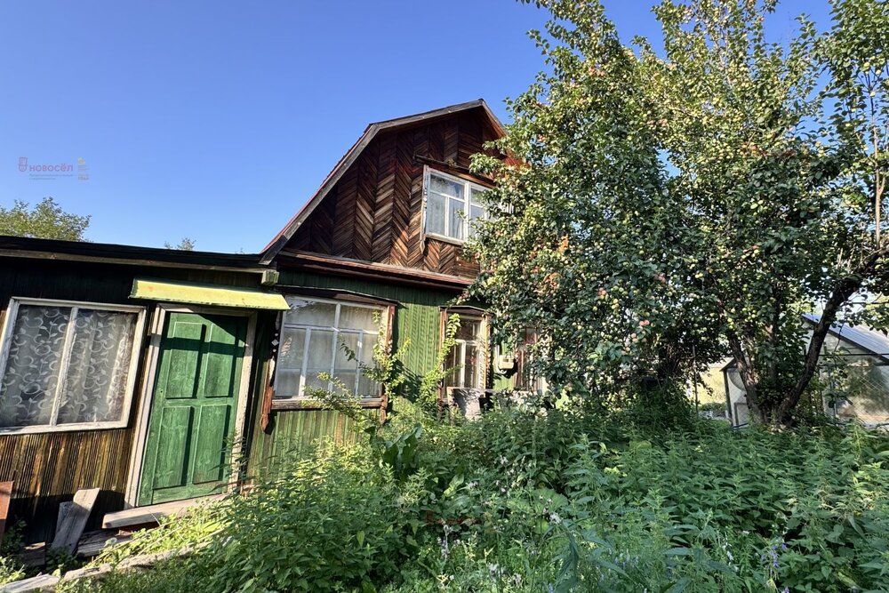 г. Березовский, Коллективный сад №36 (городской округ Березовский) - фото сада (2)