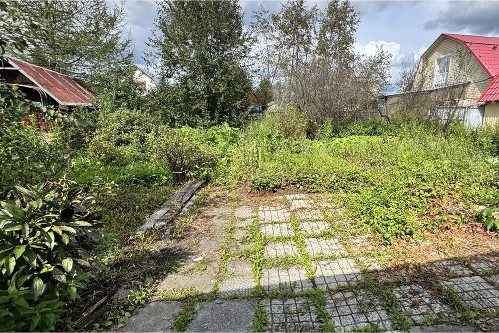 г. Березовский, Коллективный сад №36 (городской округ Березовский) - фото сада (7)