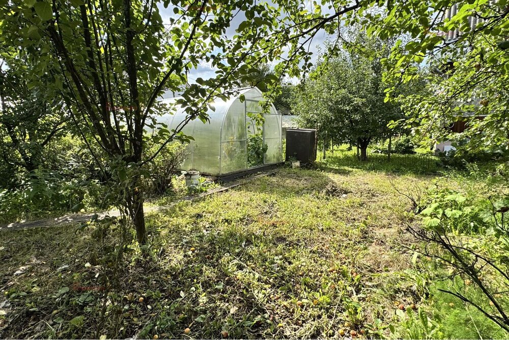 г. Березовский, Коллективный сад №36 (городской округ Березовский) - фото сада (8)