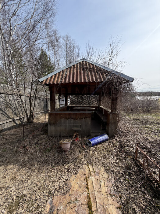 Екатеринбург, снт. Лесные братья , уч. 10 - фото сада (5)