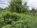 Продажа земельного участка: Екатеринбург, ул. Каманина, 7 (Семь ключей) - Фото 3