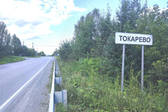 д. Токарево, ул. Чапаева, 2 (городской округ Сысертский) - фото земельного участка