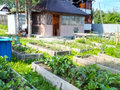 Продажа садового участка: с. Курганово, СНТ Анрарник (городской округ Полевской) - Фото 5