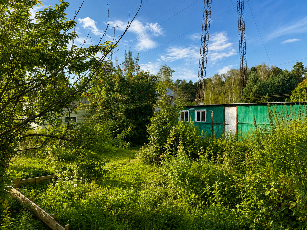 Екатеринбург, СНТ УРАЛ, уч. 54 - фото сада (11)
