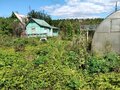 Продажа садового участка: с. Большебрусянское, коллективный сад Надежда, уч. 76 (городской округ Белоярский) - Фото 3