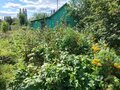 Продажа садового участка: с. Большебрусянское, коллективный сад Надежда, уч. 76 (городской округ Белоярский) - Фото 5