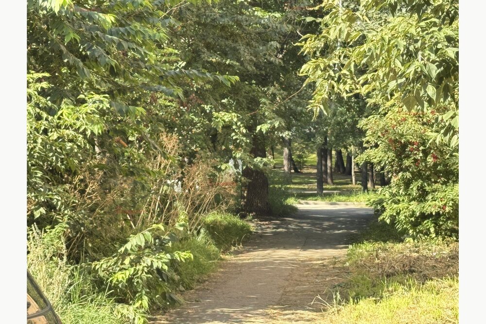 Екатеринбург, ул. Восточная, 166/а (Центр) - фото квартиры (11)