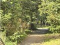 Продажа квартиры: Екатеринбург, ул. Восточная, 166/а (Центр) - Фото 11