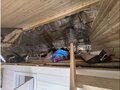 Продажа садового участка: пгт. Верхнее Дуброво, к/с Рябинушка, уч. 27 (городской округ Верхнее Дуброво) - Фото 11