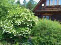 Продажа садового участка: п. Решеты, СНТ «Решётка-2» (городской округ Первоуральск) - Фото 1