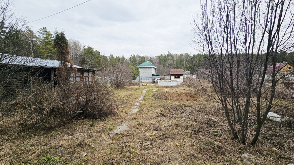 Екатеринбург, СНТ Медик-1, уч. 120 - фото сада (4)