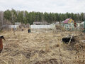Продажа садового участка: Екатеринбург, СНТ Медик-1, уч. 120 - Фото 9