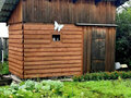 Продажа садового участка: г. Нижний Тагил, Заря. Голый камень, уч. 2-я линия (городской округ Нижний Тагил) - Фото 11