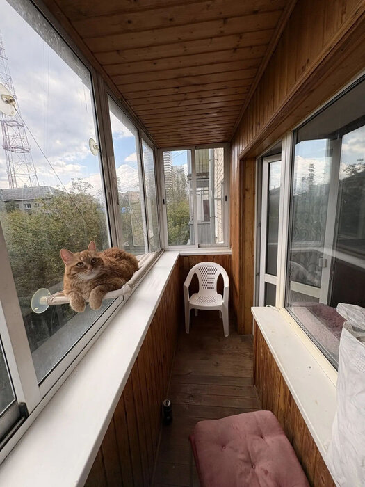 Екатеринбург, ул. Московская, 42 (Юго-Западный) - фото квартиры (8)